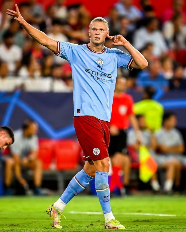 导致整体状 导致整体状